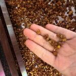 Bičių duonelė - 100g - Image 2