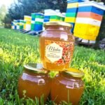 Vasarinis medus (Vidutinio tamsumo) - 1kg