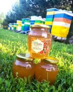 Vasarinis medus (Vidutinio tamsumo) - 1kg