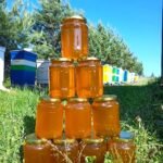 Pavasarinis medus (Šviesus) - 1kg