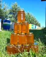 Pavasarinis medus (Šviesus) - 1kg